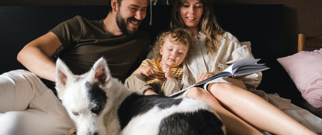 The Unbreakable Bond: Exploring the Relationship Between a Dog and Dog Parents