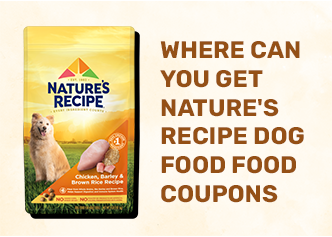 Where Can You Get Nature's Recipe Dog Food Coupons? Save On Your Pet Food