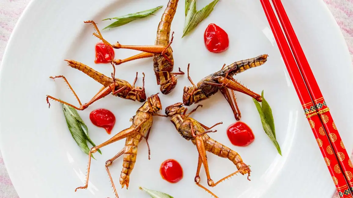 How to Make Your Own Edible Insects and Why They Are Good for You