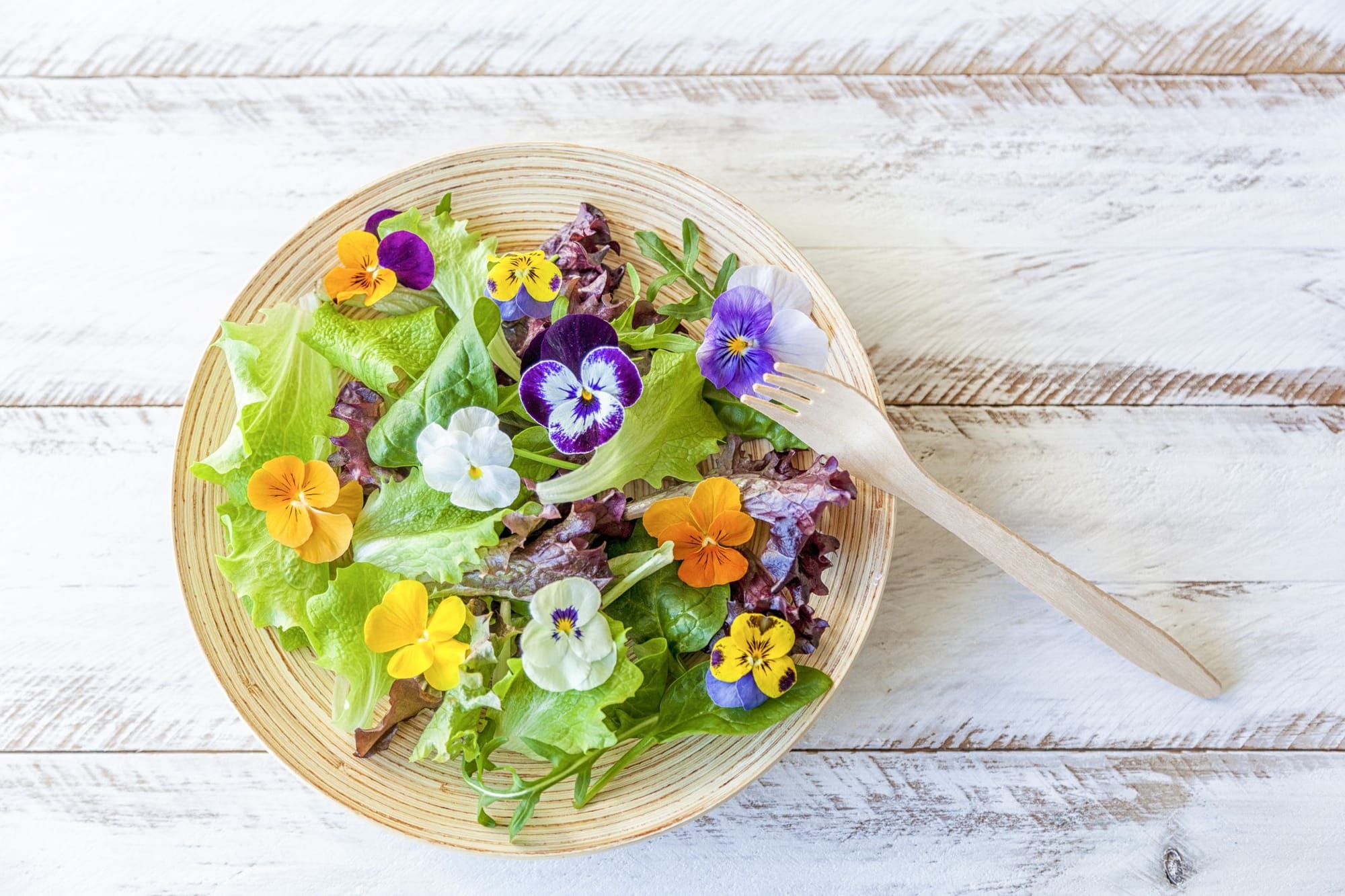 Exploring the World of Edible Flowers: A Culinary and Nutritional Guide