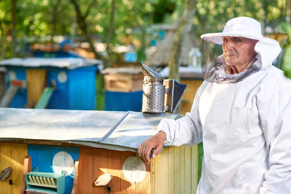 Urban Beekeeping: The buzz on city hives and local honey