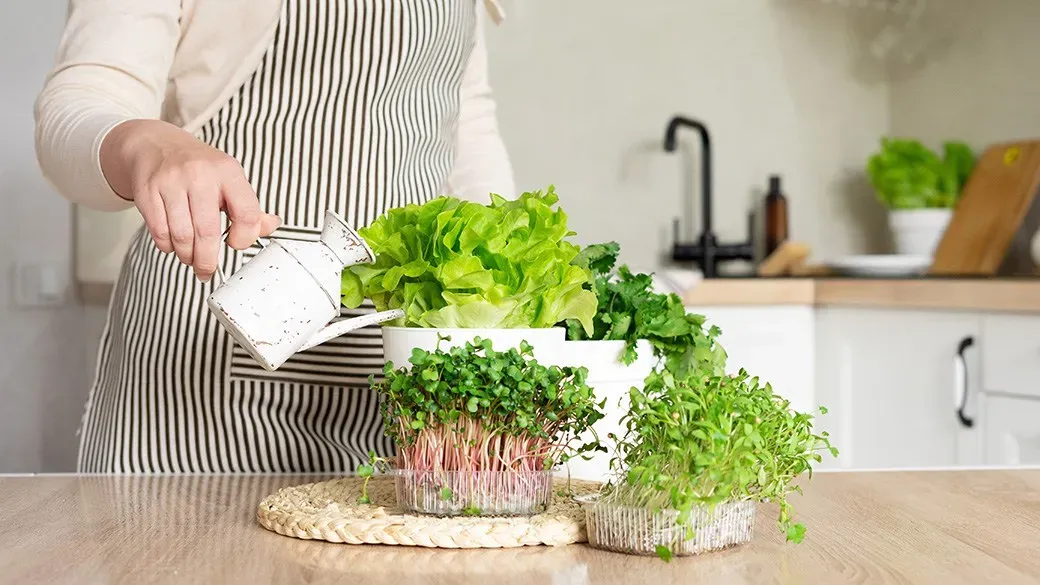 Cultivating Indoor Edible Gardens