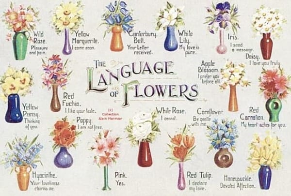 The Language of Flowers: Decoding Botanical Messages