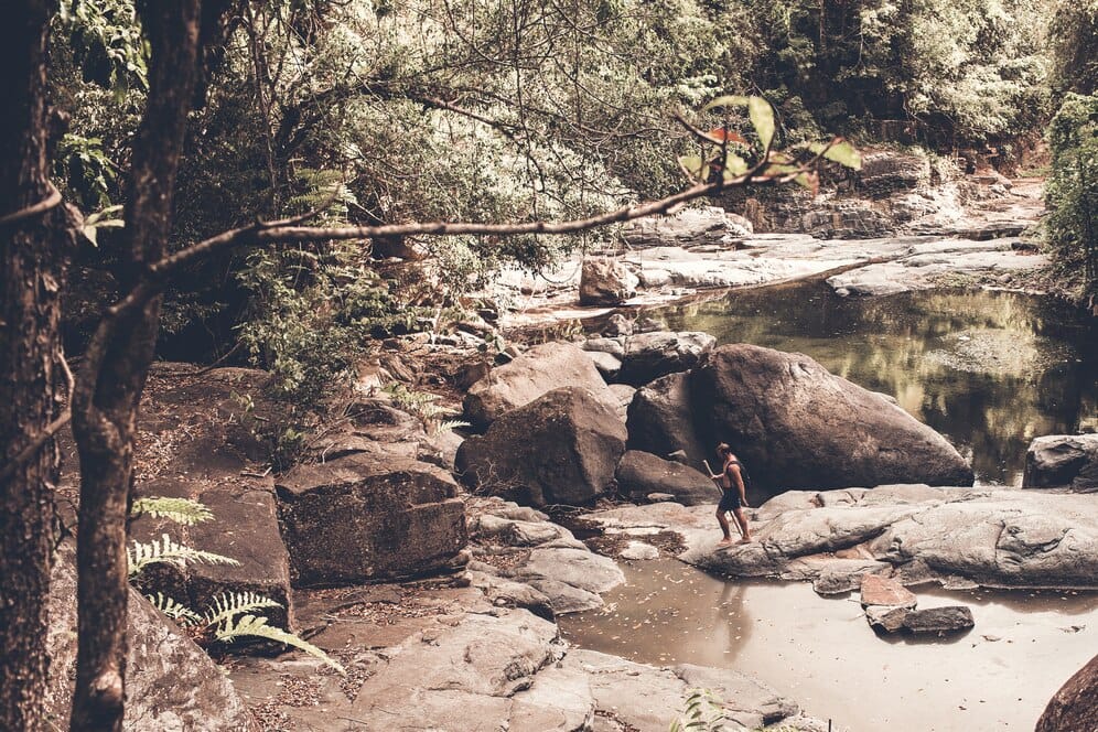 Unveiling the Serenity of Soundscapes: Exploring the Music of Nature