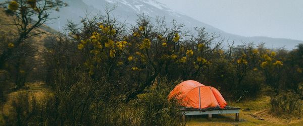 Embracing the Outdoors: Essential Tips for a Memorable Camping Experience