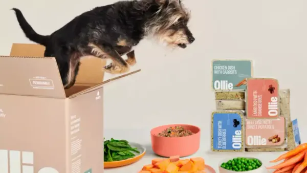 7 Best Dog Foods in 2023: A Vet-Approved Guide