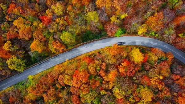 The Ultimate Fall Foliage Adventure in the USA 🍁