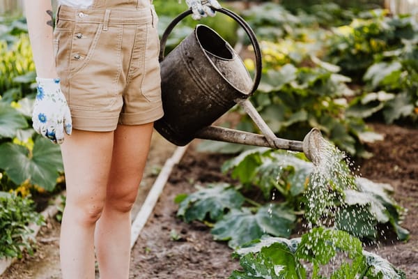 Essential Tools for Home Gardening