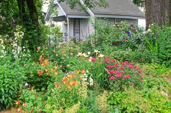 Chaos Gardening: Why The Best Gardens Are a Little Wild